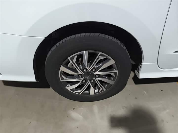 Фото 26 - Maxus G20