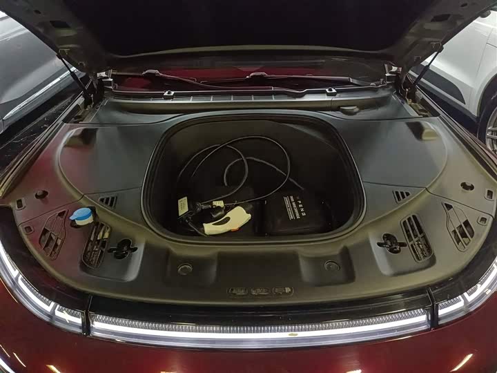 Фото 20 - XPeng P7