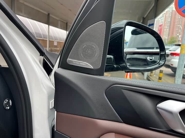 Фото 29 - BMW X5