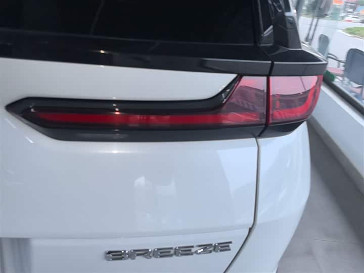 Фото 8 - Honda Breeze