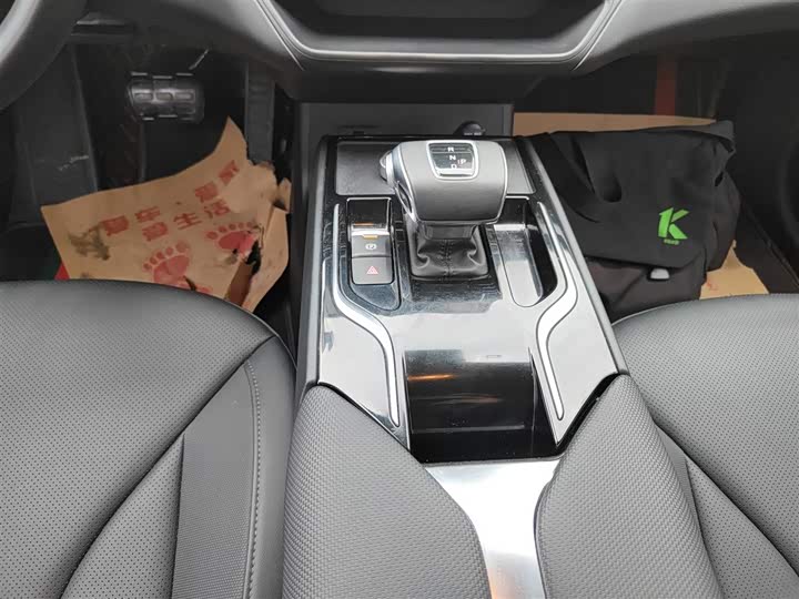 Фото 14 - Hongqi E-QM5