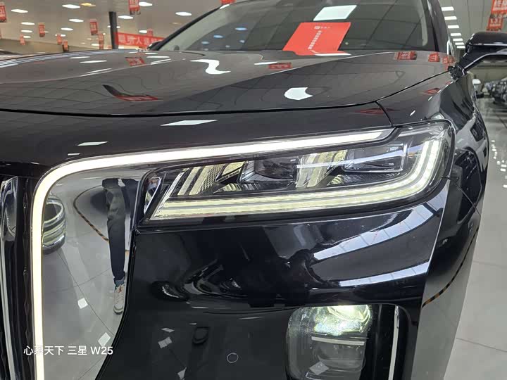 Фото 4 - Hongqi H9