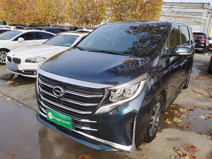 Фото 1 - GAC Trumpchi M8