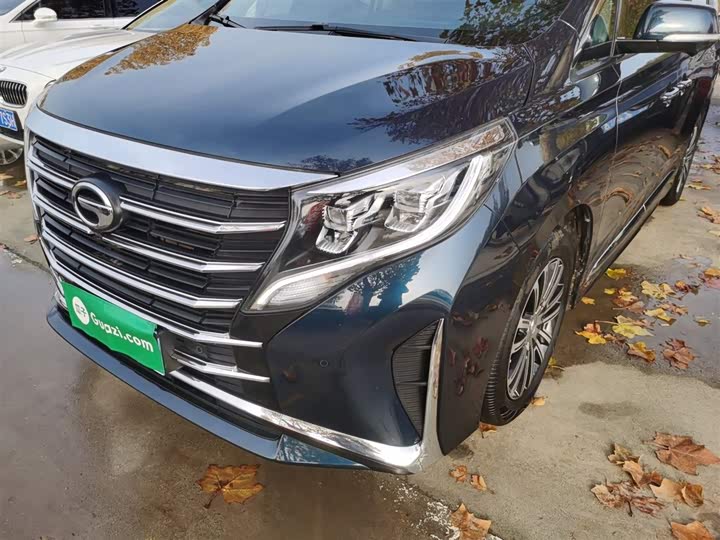 Фото 24 - GAC Trumpchi M8