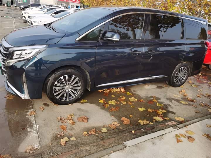 Фото 5 - GAC Trumpchi M8