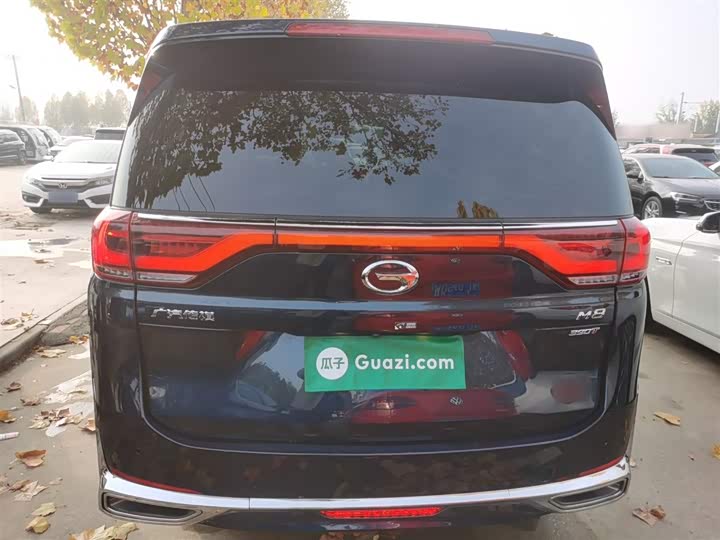 Фото 6 - GAC Trumpchi M8