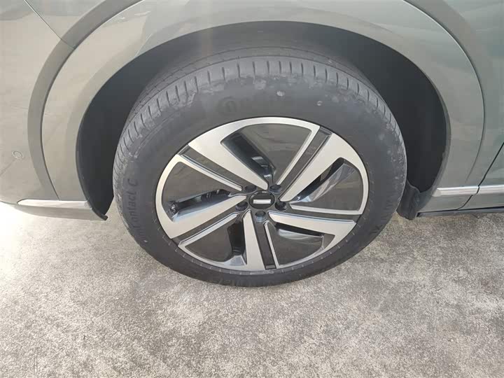 Фото 23 - Wey Lanshan