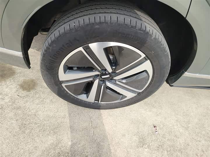 Фото 26 - Wey Lanshan