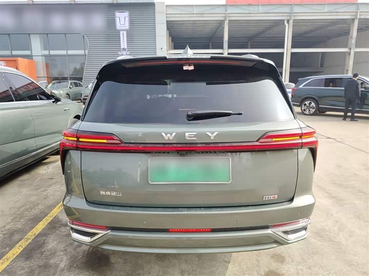 Фото 6 - Wey Lanshan