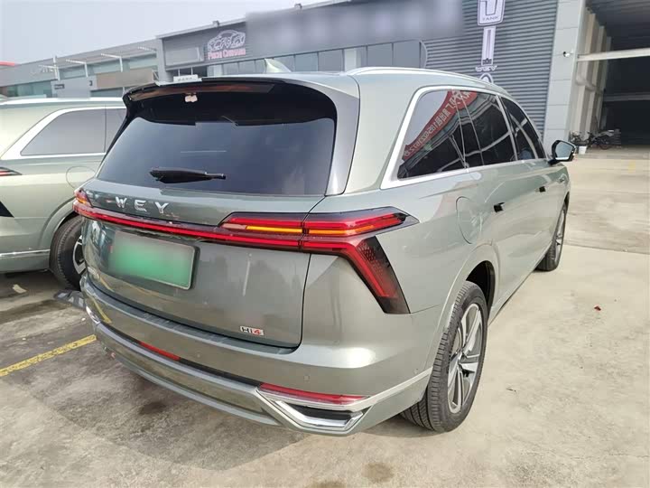 Фото 7 - Wey Lanshan