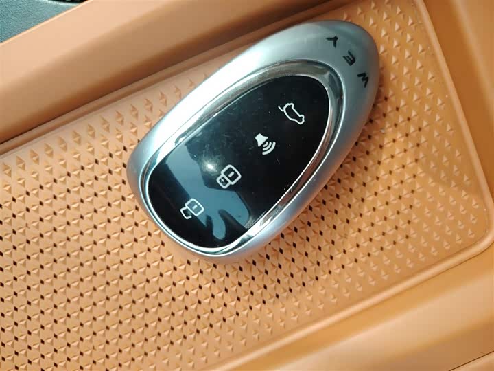 Фото 9 - Wey Lanshan