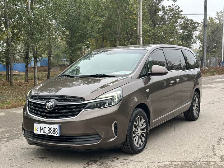 Фото 1 - Buick GL8 ES