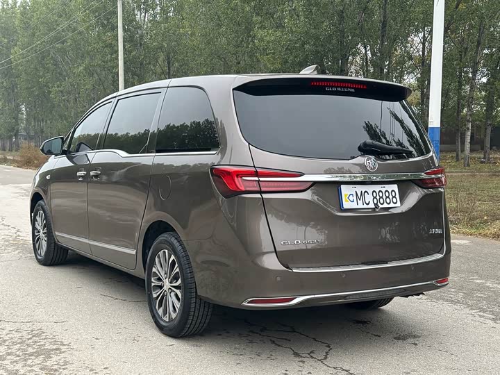 Фото 5 - Buick GL8 ES