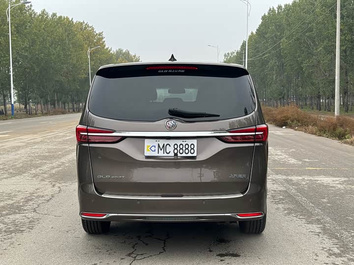 Фото 6 - Buick GL8 ES