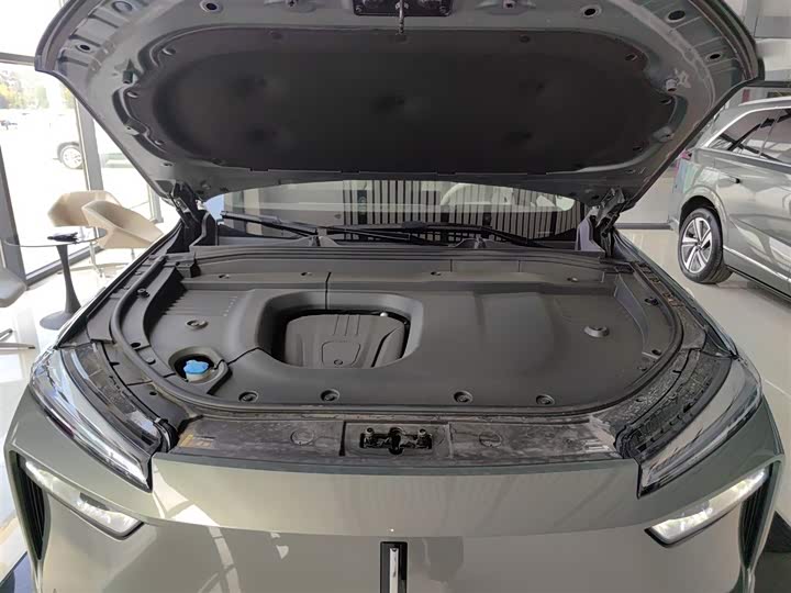 Фото 20 - Wey Lanshan