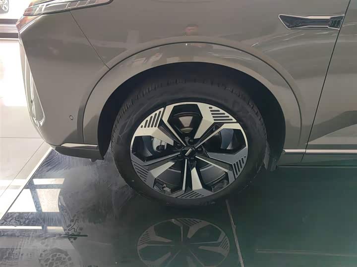 Фото 23 - Wey Lanshan