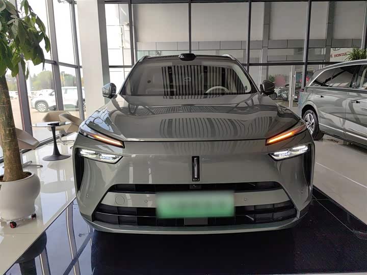 Фото 3 - Wey Lanshan