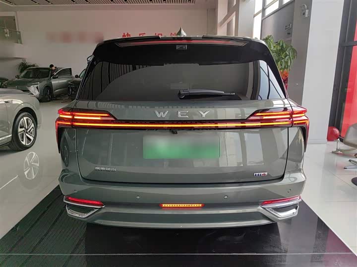 Фото 6 - Wey Lanshan