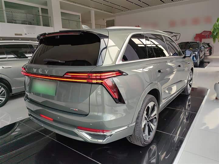 Фото 7 - Wey Lanshan