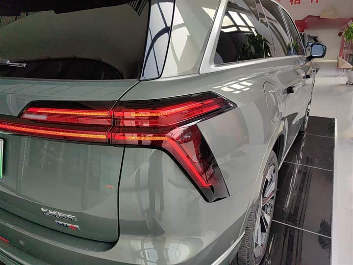 Фото 8 - Wey Lanshan