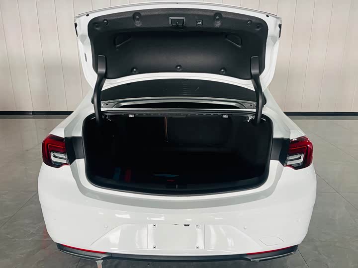 Фото 14 - Buick Regal