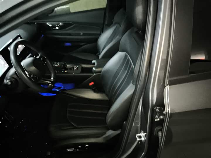 Фото 15 - GAC Trumpchi Empow R