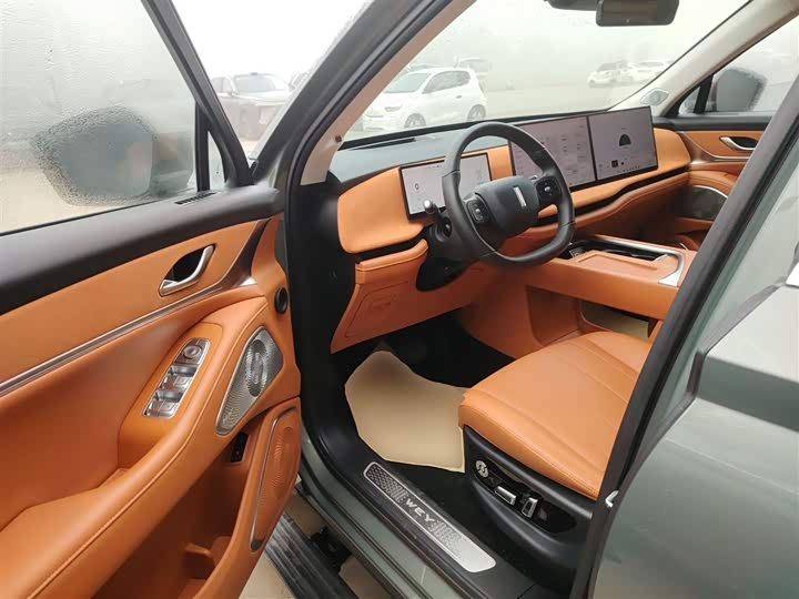 Фото 16 - Wey Lanshan