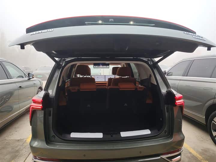 Фото 19 - Wey Lanshan