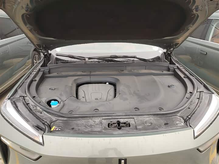 Фото 20 - Wey Lanshan