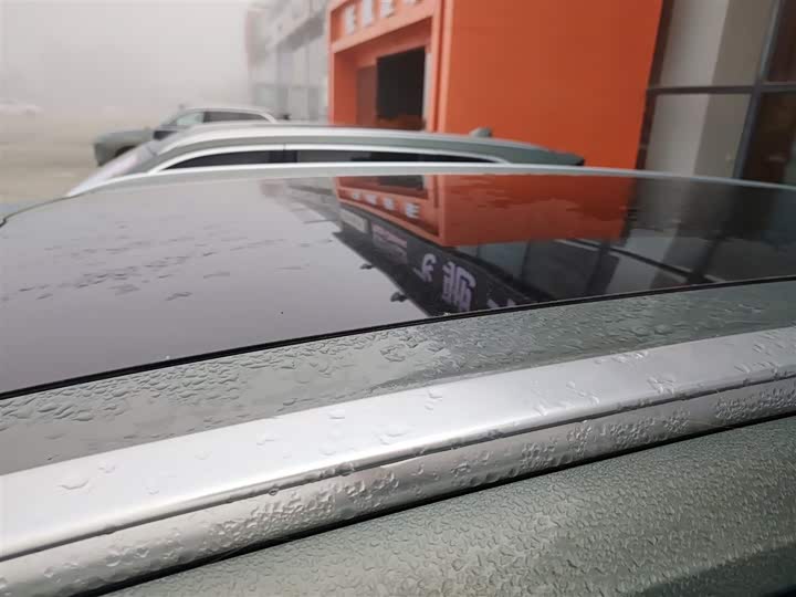 Фото 27 - Wey Lanshan