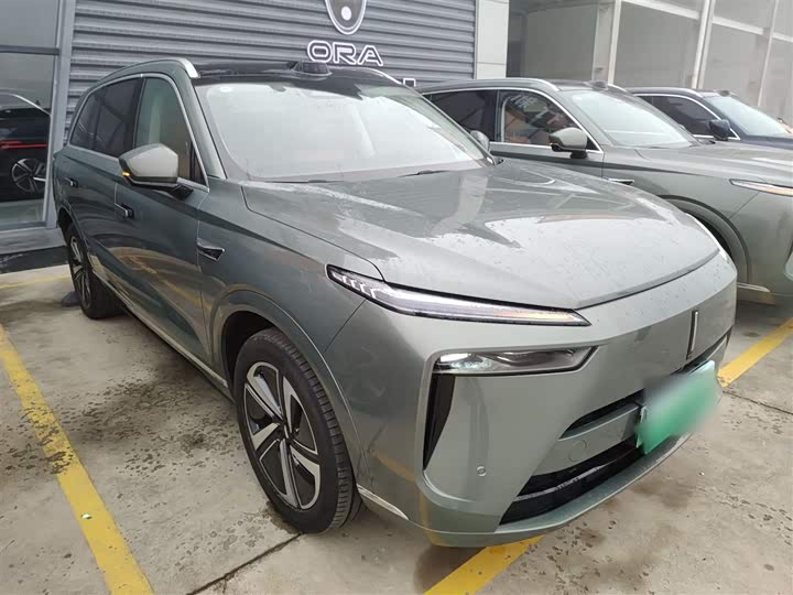 Фото 4 - Wey Lanshan