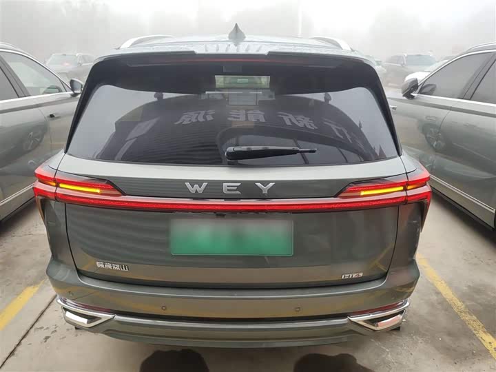 Фото 6 - Wey Lanshan