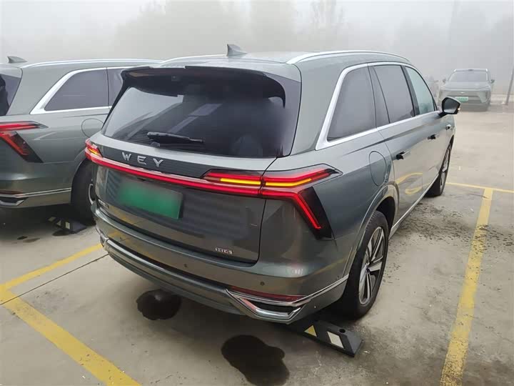 Фото 7 - Wey Lanshan