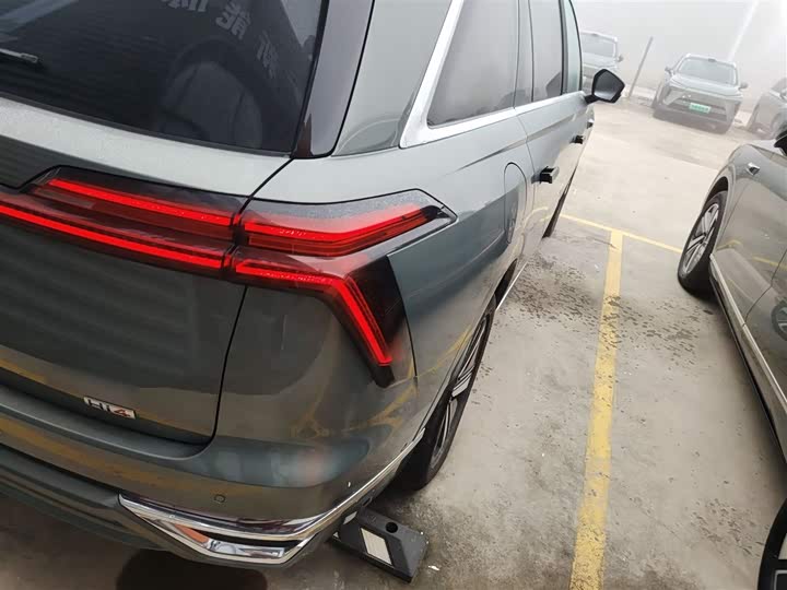 Фото 8 - Wey Lanshan