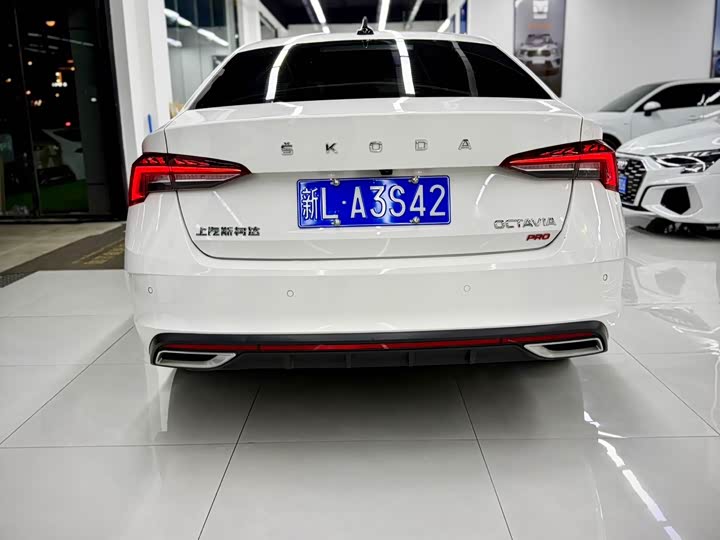 Фото 5 - Skoda Octavia Pro