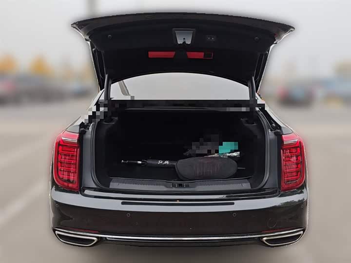 Фото 10 - Hongqi H9