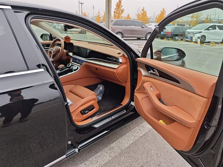 Фото 20 - Hongqi H9