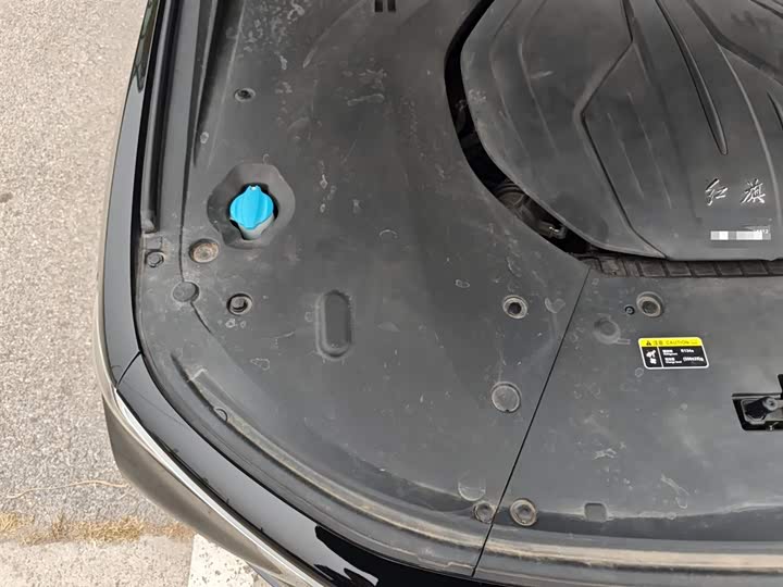 Фото 21 - Hongqi H9