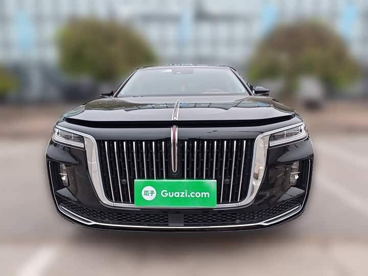Фото 24 - Hongqi H9