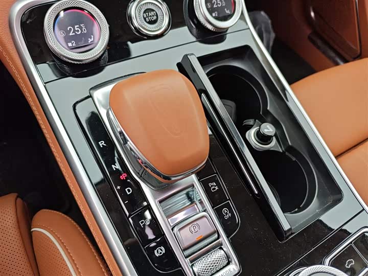 Фото 7 - Hongqi H9