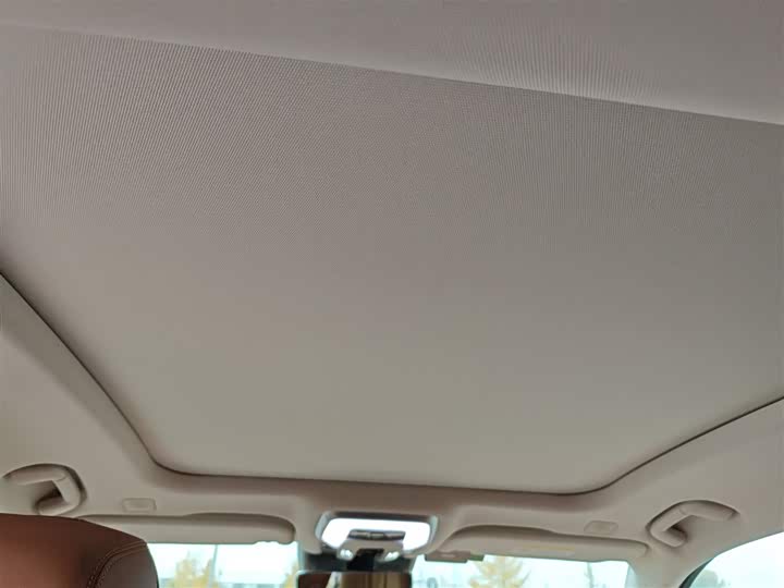 Фото 9 - Hongqi H9