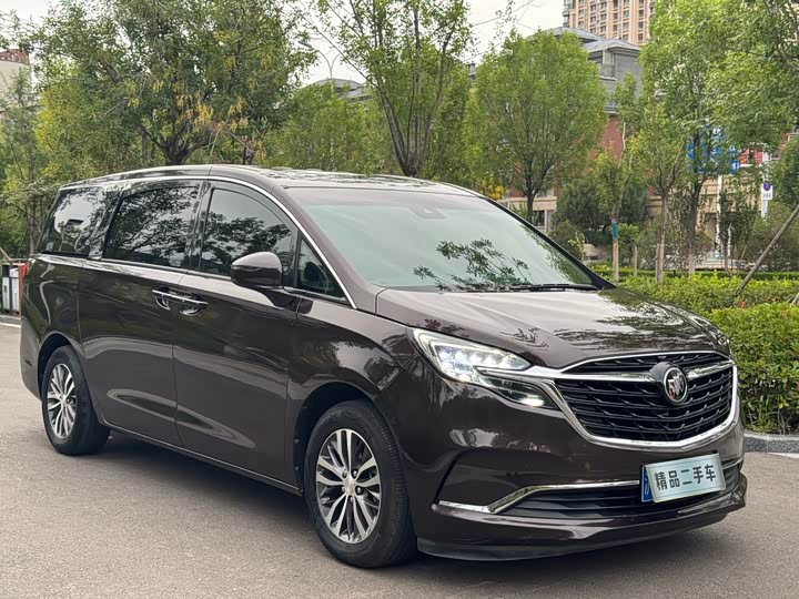 Фото 3 - Buick GL8 ES