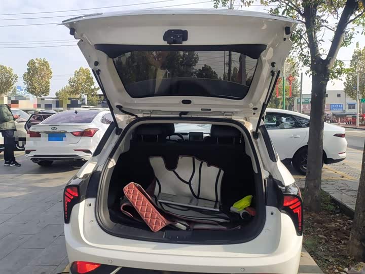 Фото 19 - Hozon V