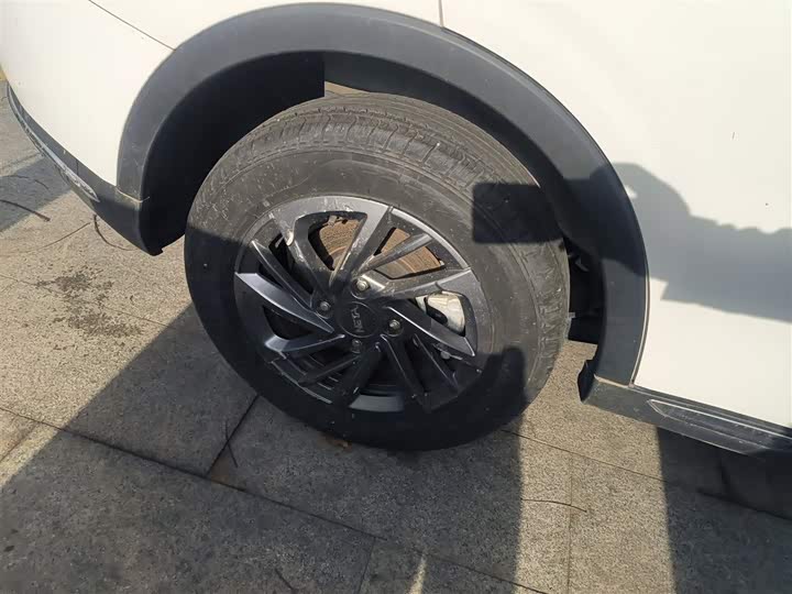 Фото 26 - Hozon V