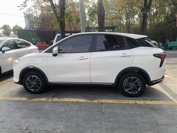 Фото 5 - Hozon V