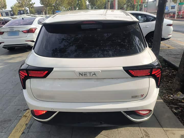 Фото 6 - Hozon V