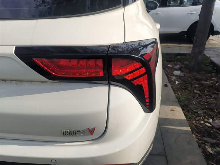 Фото 8 - Hozon V