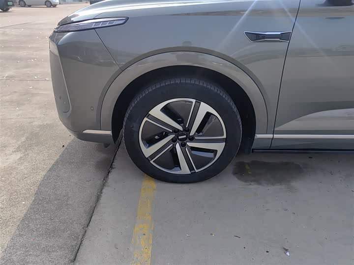 Фото 23 - Wey Lanshan