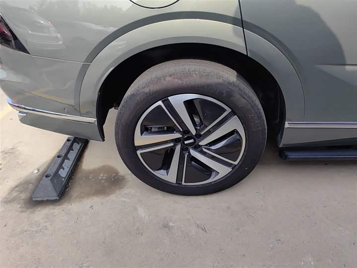 Фото 26 - Wey Lanshan