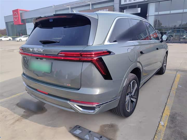 Фото 7 - Wey Lanshan